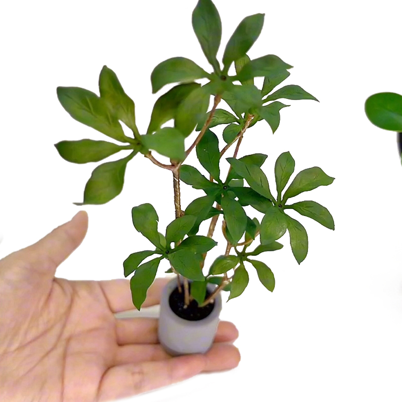 Bonsai Gardenia - 1:6 domek dla lalek miniaturowe rośliny