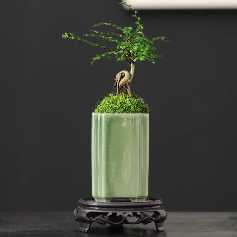 Bonsai Garden Art - Porcelanowa kwadratowa doniczka do orchidei, wazon