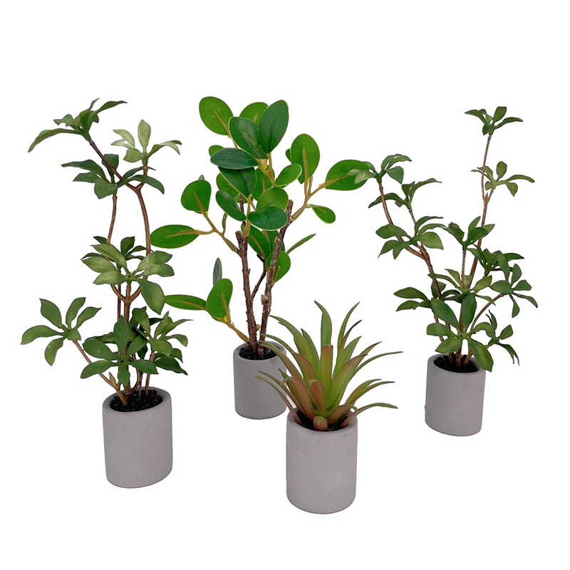 1:6 domek dla lalek miniaturow – Bonsai Gardenia recenzja i cena