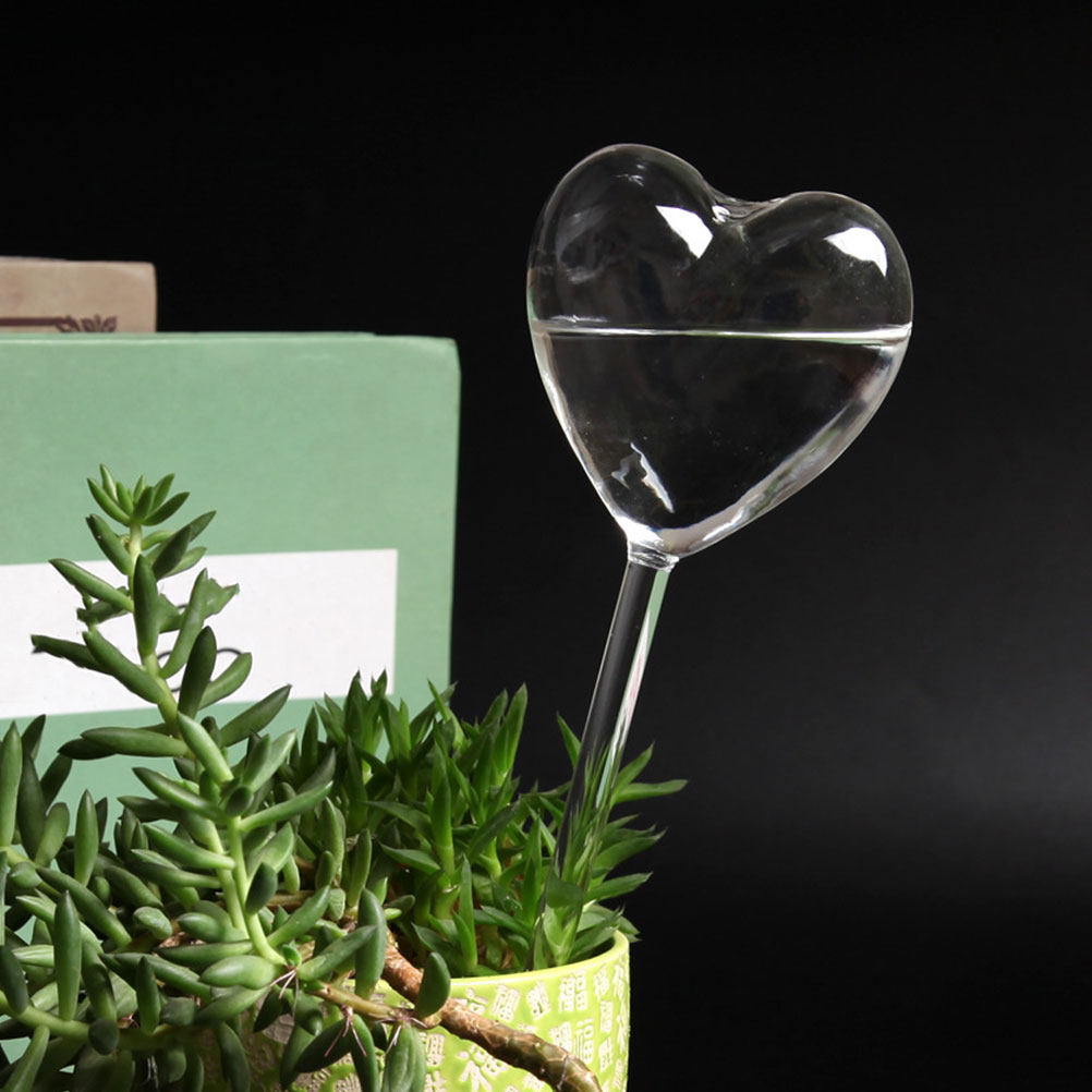 3 szt. Szklane globy samozrasz – Bonsai Gardenia recenzja i cena