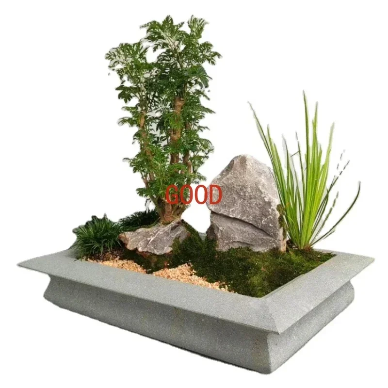 Ogród Naturalny Kamienny Stoli – Bonsai Garden Art recenzja i cena
