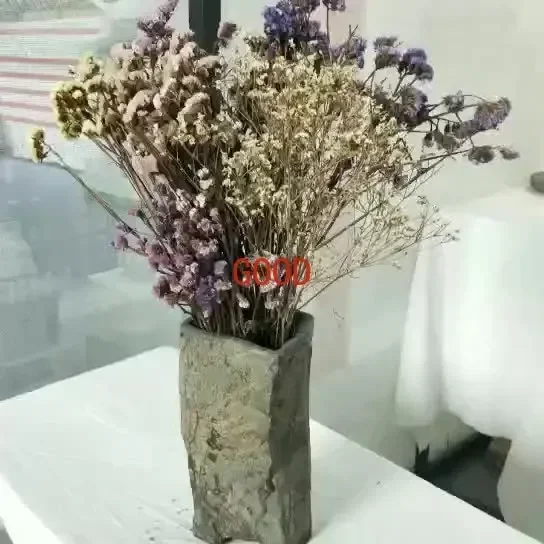 Ogród Naturalny Kamienny Stoli – Bonsai Garden Art recenzja i cena