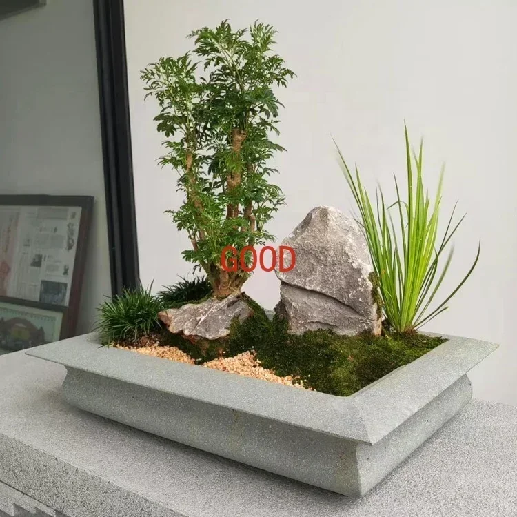 Ogród Naturalny Kamienny Stoli – Bonsai Garden Art recenzja i cena