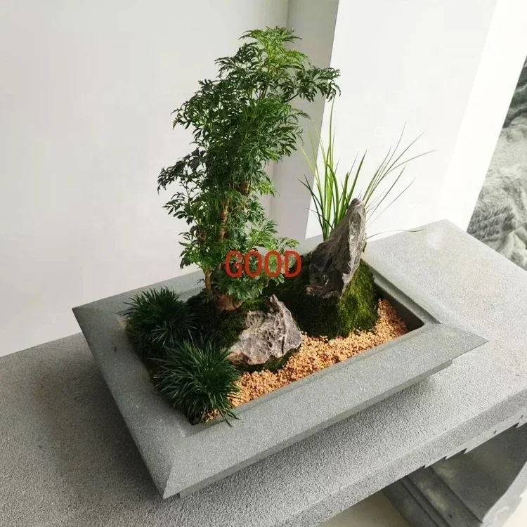 Ogród Naturalny Kamienny Stoli – Bonsai Garden Art recenzja i cena