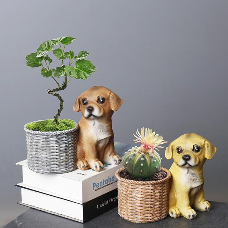 Domowy salon biuro żywica Bons – Bonsai Garden Art recenzja i cena