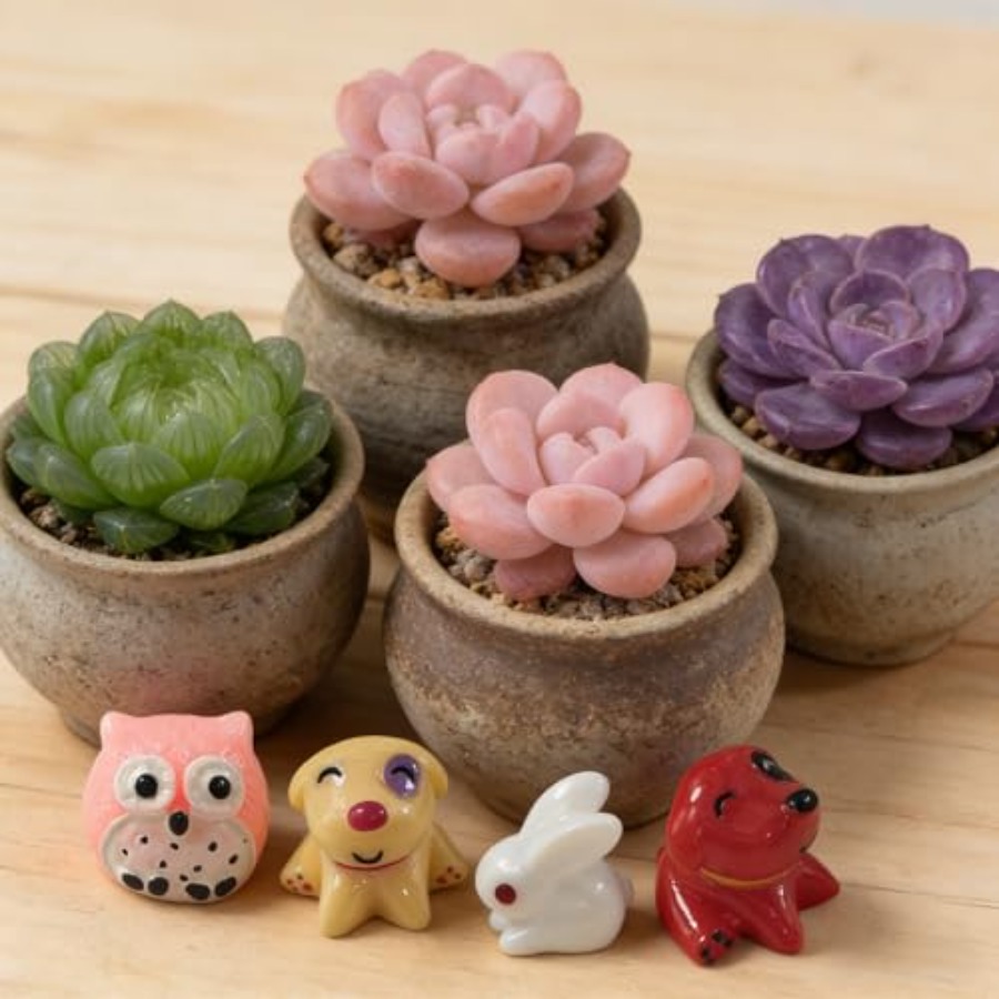 74 Elementy Zestaw Miniaturowy – Bonsai Garden Japan recenzja i cena