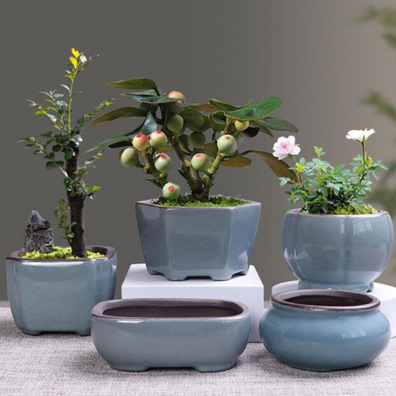 Retro ceramiczna doniczka na k – Bonsai Gardenia recenzja i cena
