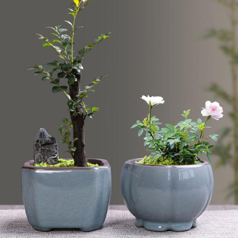 Retro ceramiczna doniczka na k – Bonsai Gardenia recenzja i cena