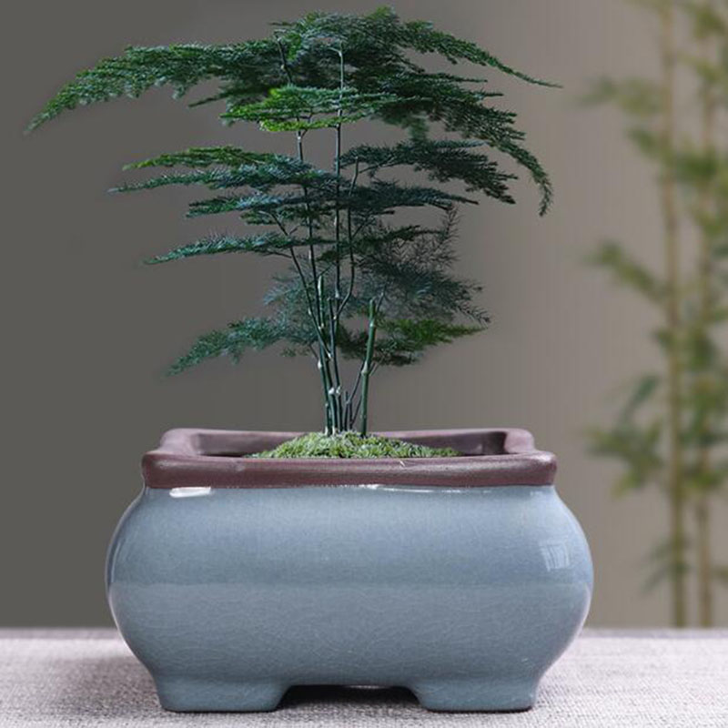 Retro ceramiczna doniczka na k – Bonsai Gardenia recenzja i cena