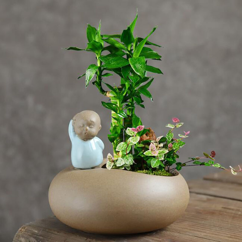 Chiński styl Retro Ceramiczny  – Bonsai Garden Art recenzja i cena
