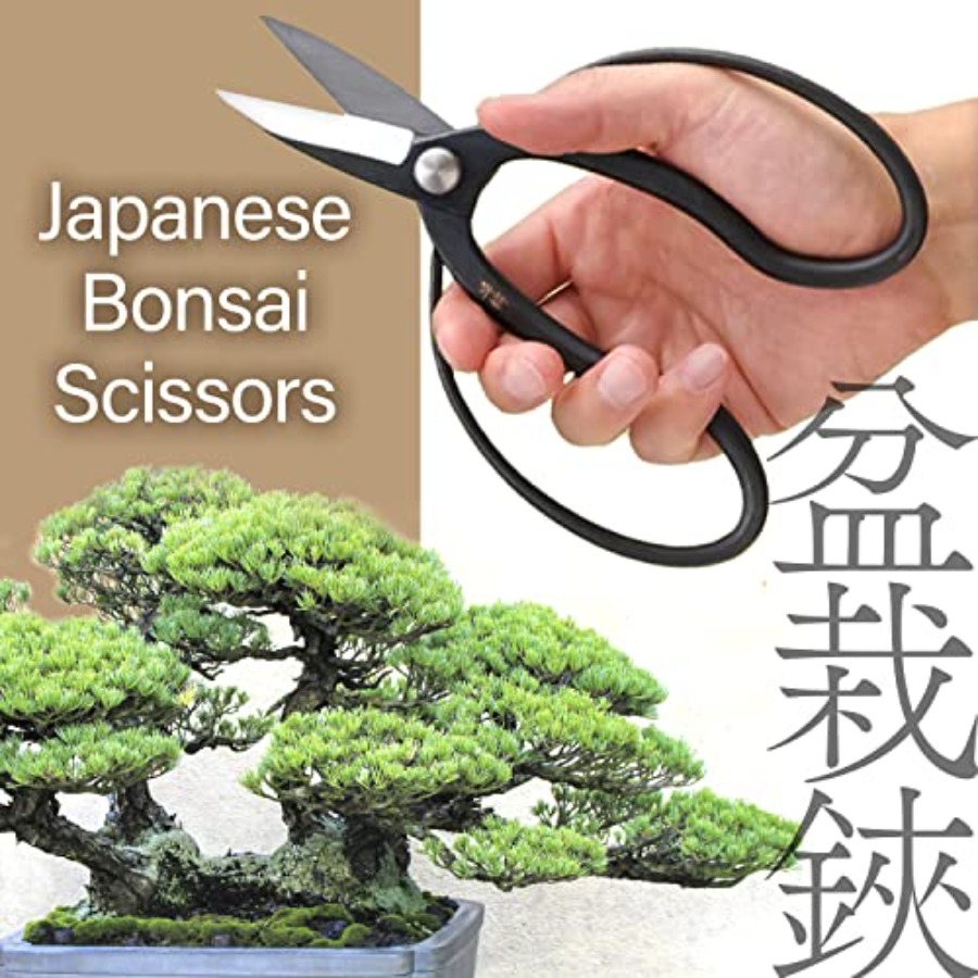 Japońskie nożyce do bonsai Sui – Bonsai Garden Japan recenzja i cena