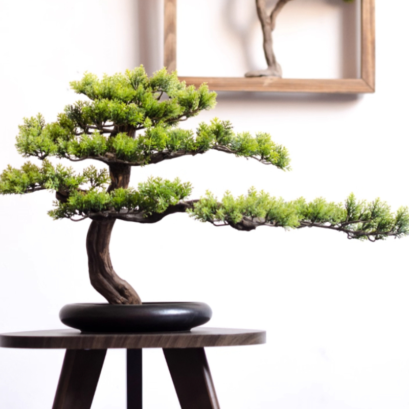 Ozdoby sosnowe do domu, imitac – Bonsai Garden Entrance recenzja i cena