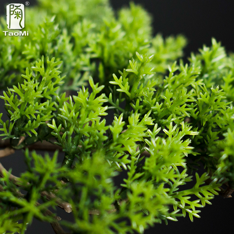 Ozdoby sosnowe do domu, imitac – Bonsai Garden Entrance recenzja i cena