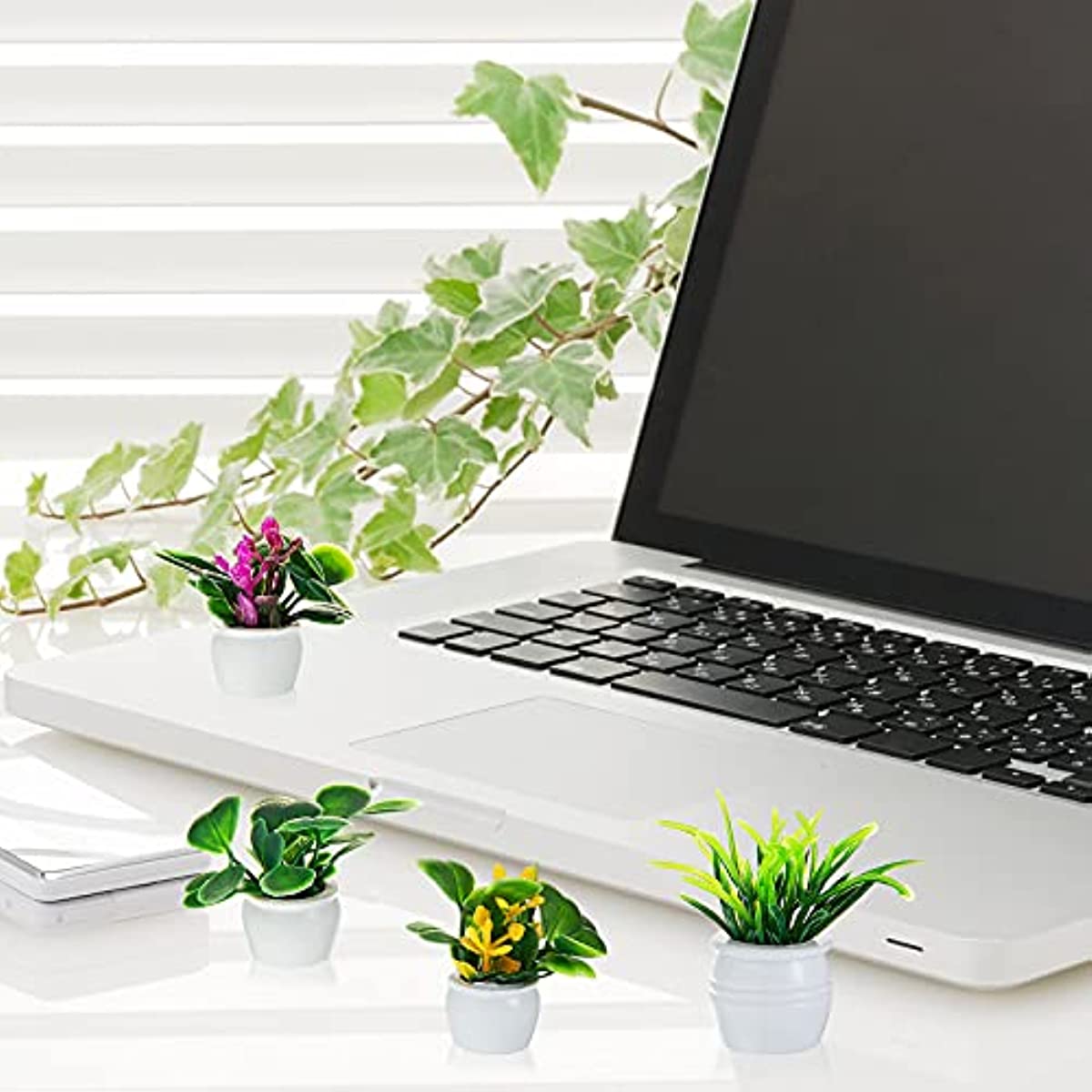 Roślina do domku dla lalek, mi – Bonsai Garden Mini recenzja i cena