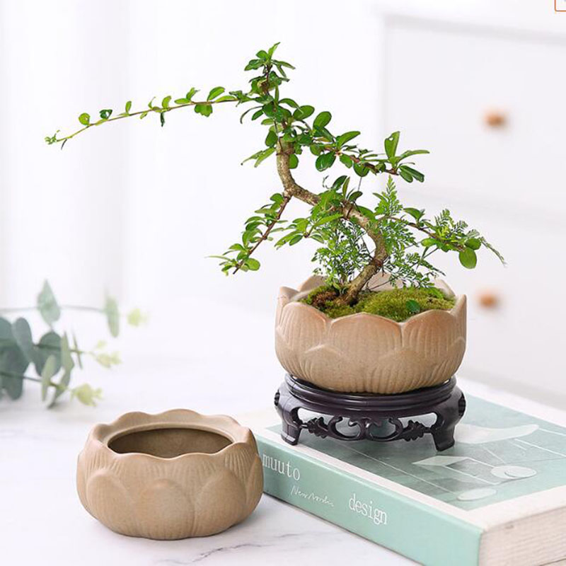 Gruba ceramika Lotos Zielona d – Bonsai Garden Art recenzja i cena