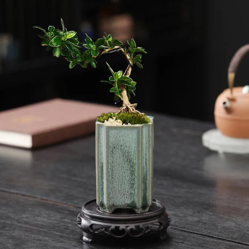 Porcelanowa kwadratowa doniczk – Bonsai Garden Art recenzja i cena