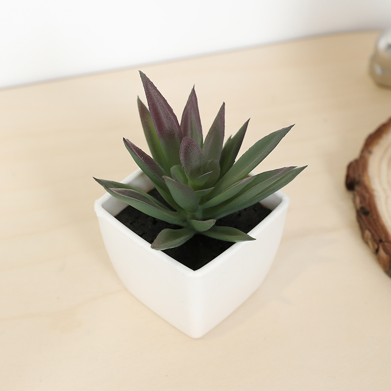 Mini sztuczny soczysty kubek w – Bonsai Garden Mini recenzja i cena