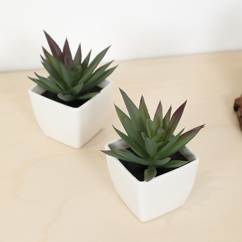 Mini sztuczny soczysty kubek w – Bonsai Garden Mini recenzja i cena