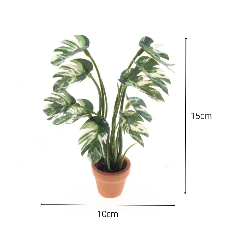 Nowy. 1 szt. 1/12 Symulacja ro – Bonsai Garden Mini recenzja i cena