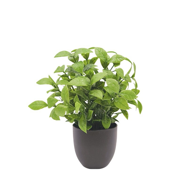 Sztuczna zielona roślina bonsa – Bonsai Garden Mini recenzja i cena