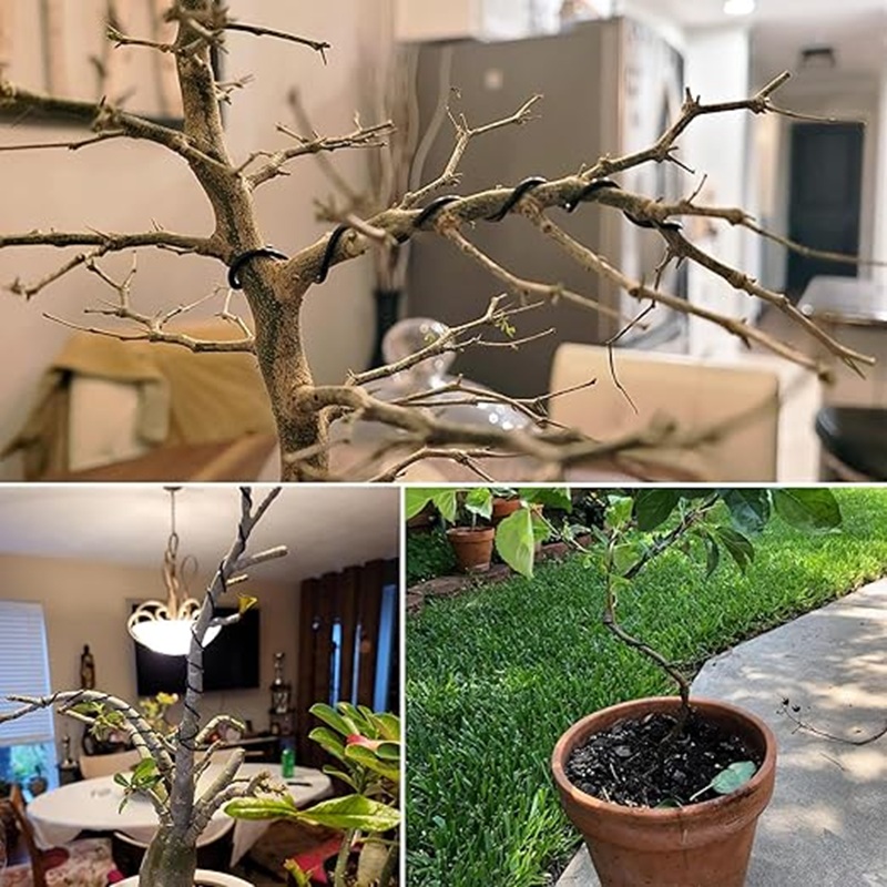 Drut aluminiowy do bonsai, cza – Bonsai Garden Art recenzja i cena